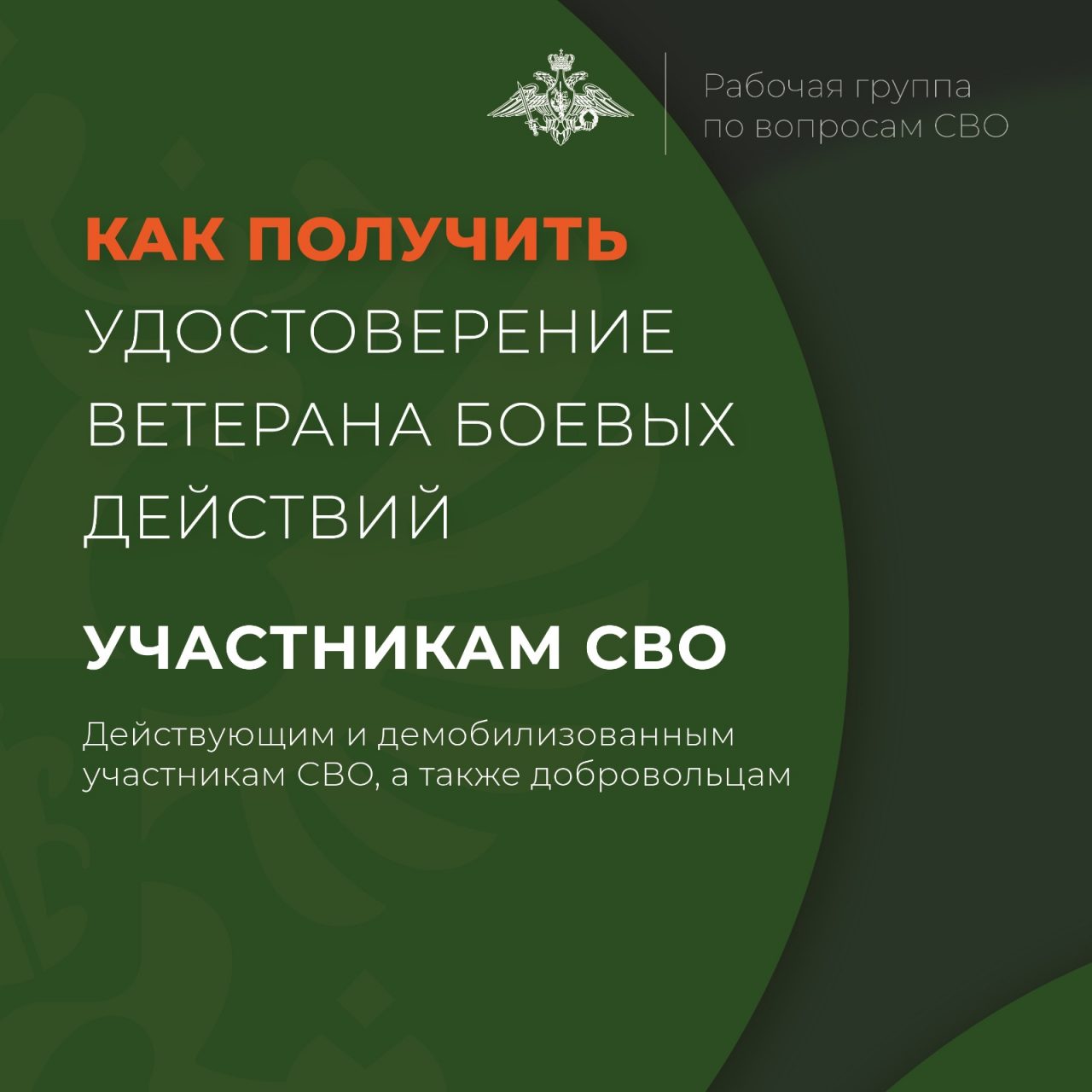 Удостоверение ветерана боевых действий могут оформить участники СВО:  военнослужащие, мобилизованные, добровольцы. – Администрация городского  поселения город Янаул